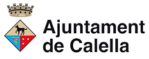 Programació web Vic Osona